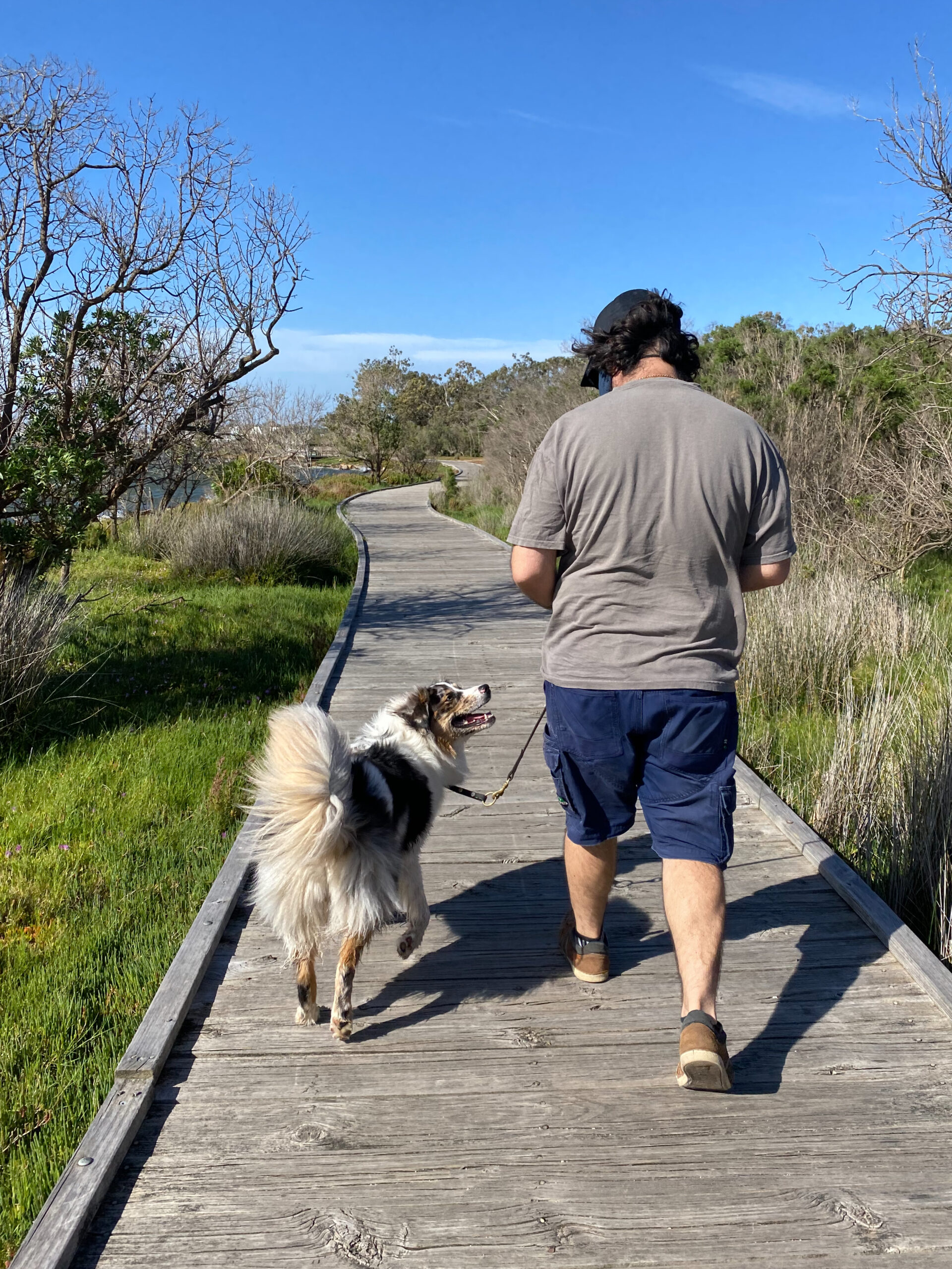 Walks Don’t Have To Be Boring