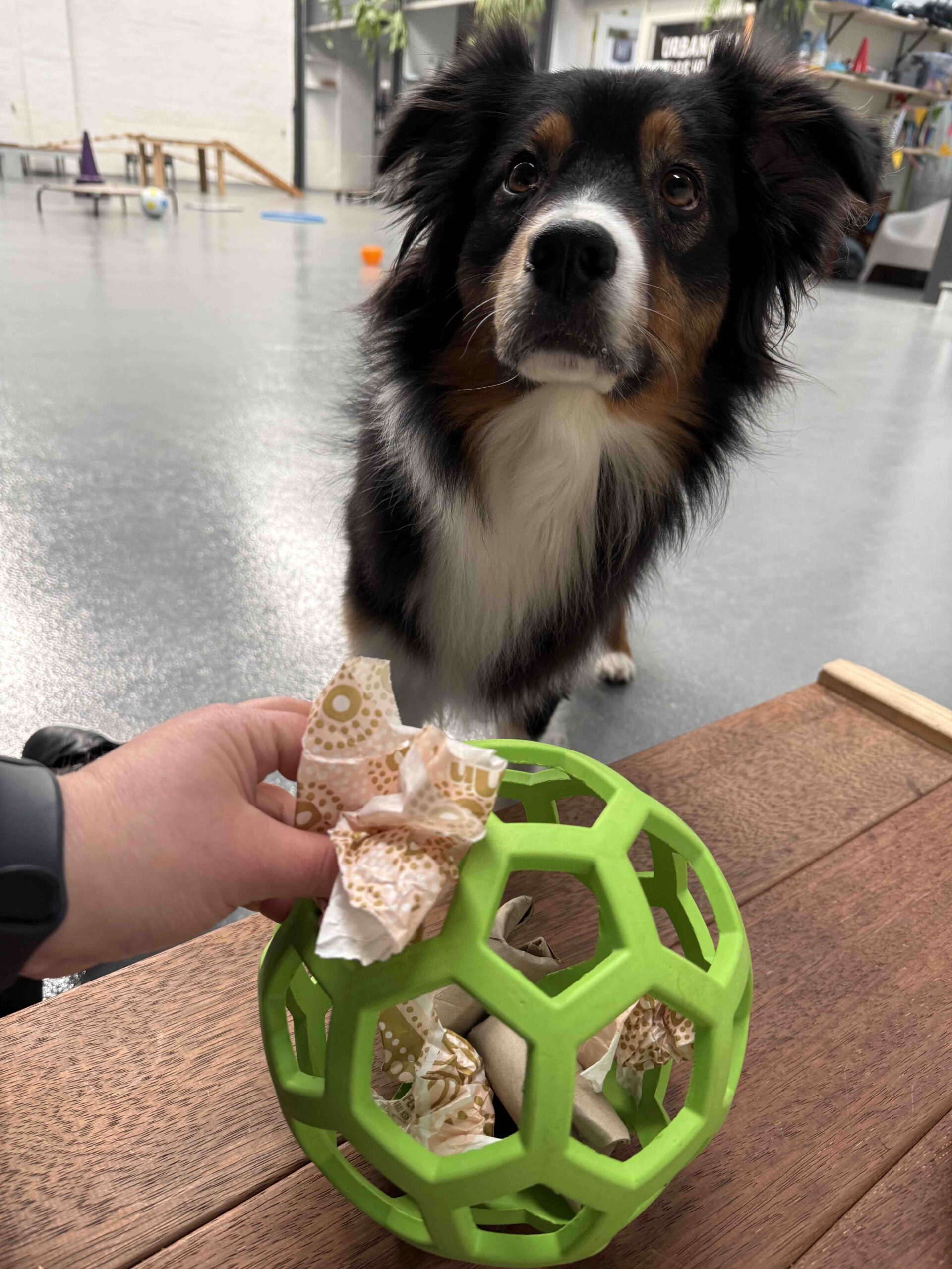 One Toy, Ten Puzzles