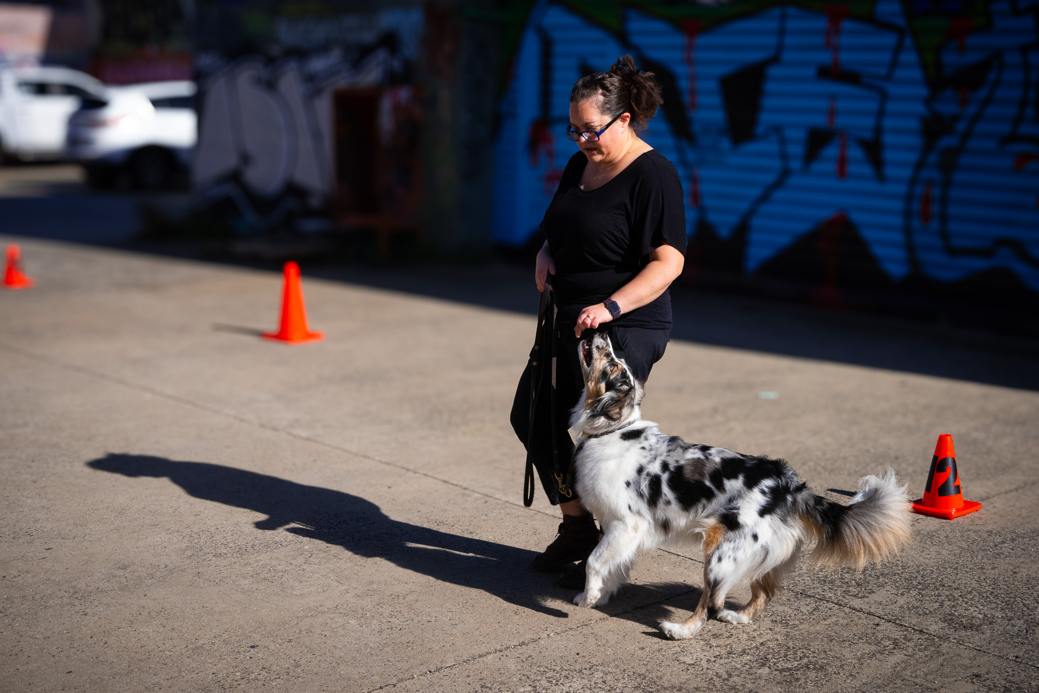 Exercise: Walking on Lead Basics